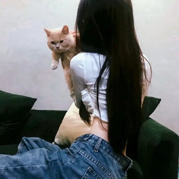 山丹丹花儿开